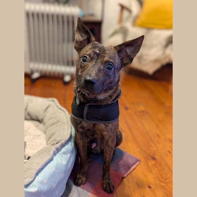 Photo of Horace Silvanus