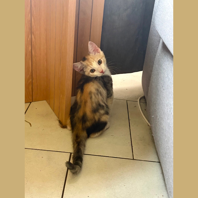 Photo of 🧙 Hermione