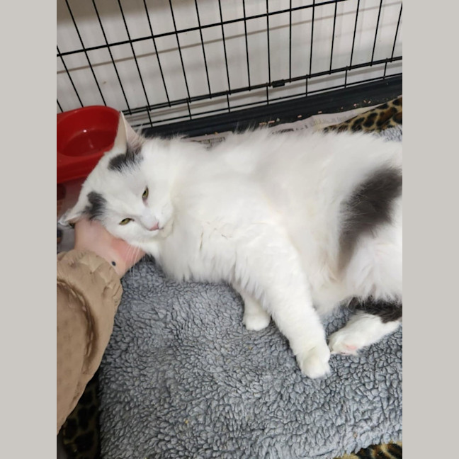 Photo of Jamilla Aka Milla