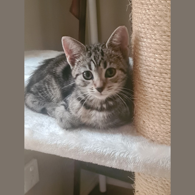 Photo of Ruby
