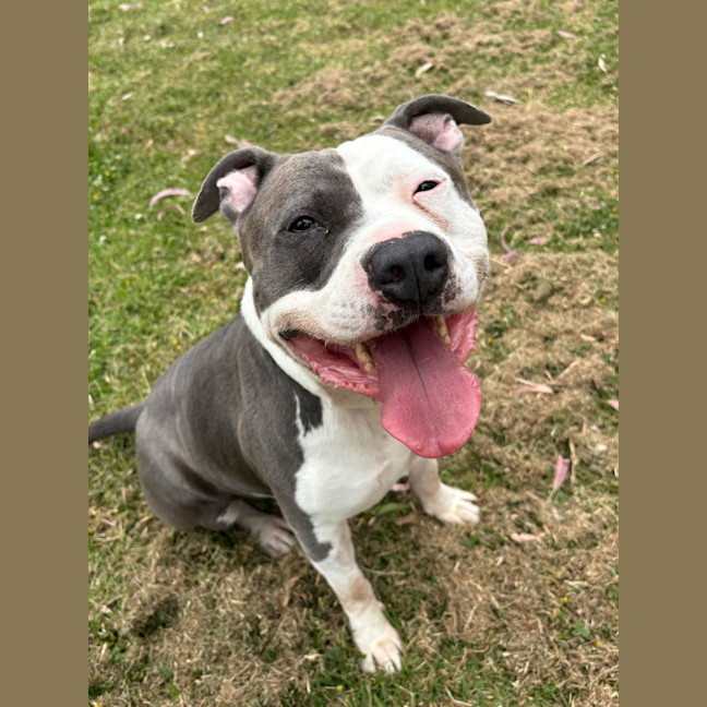 Photo of Zeus