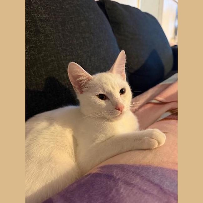 Photo of Charlie