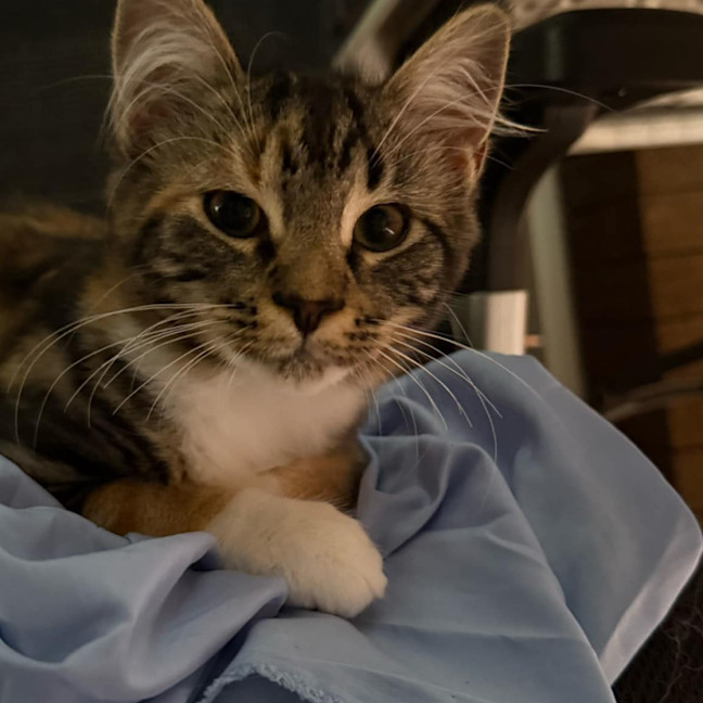 Photo of Buffy