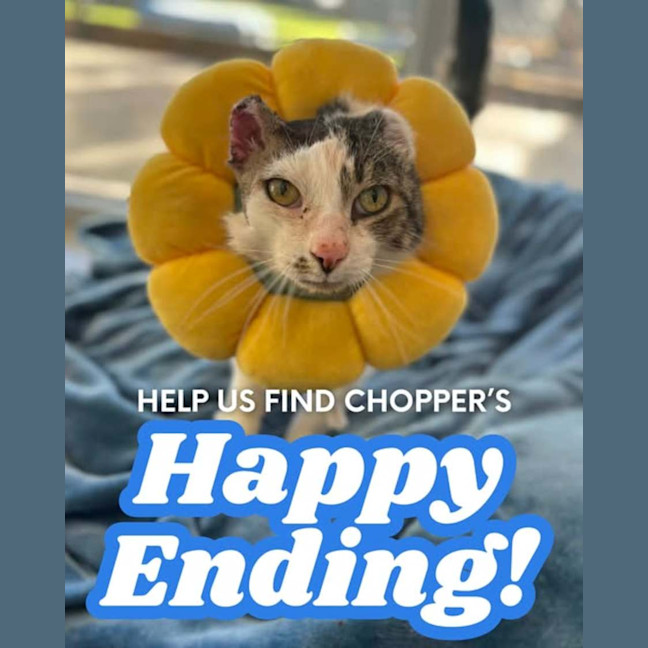 Photo of Chopper