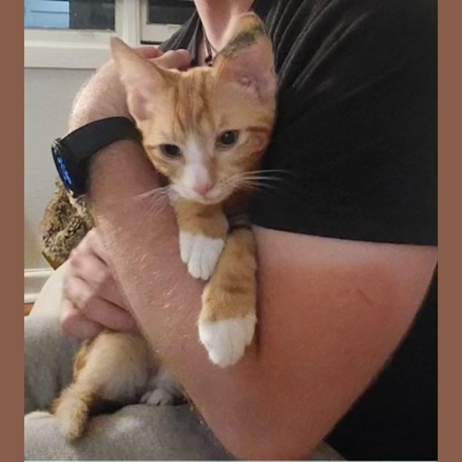 Photo of Vinnie 