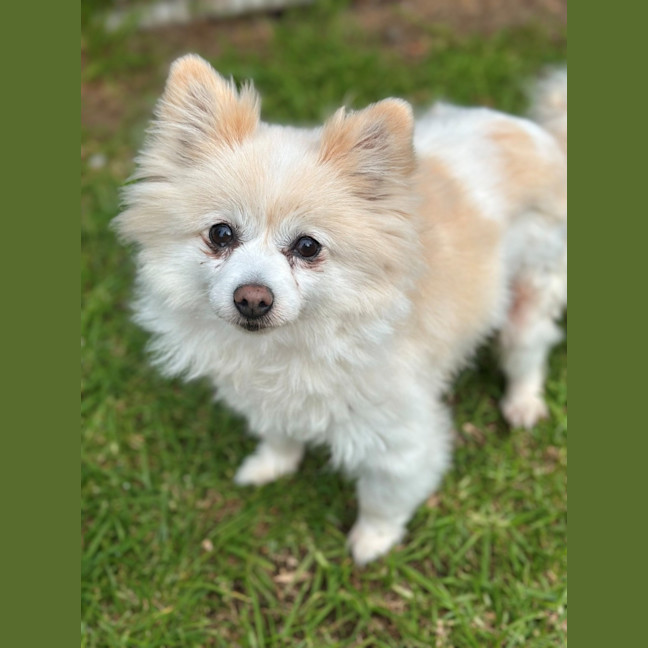 Photo of Khloee