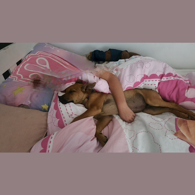 Photo of Tilly (Tandi)