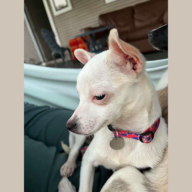 Photo of Ghost