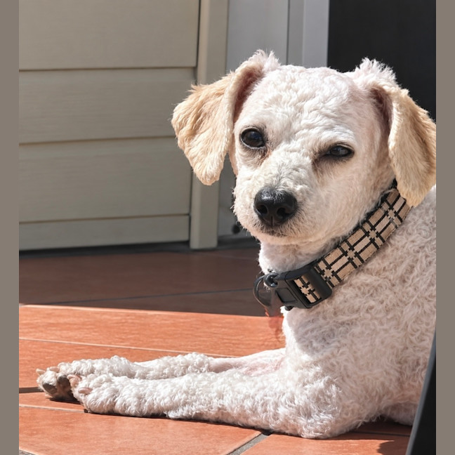 Photo of Edie