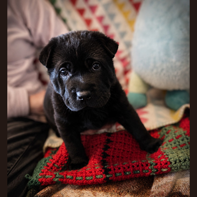 Photo of Gemma 