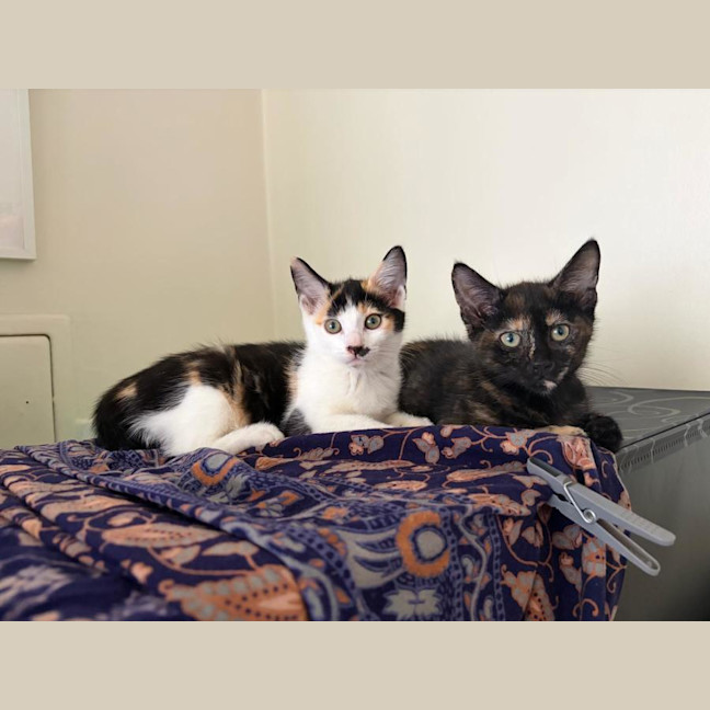 Photo of Hazel And Baby