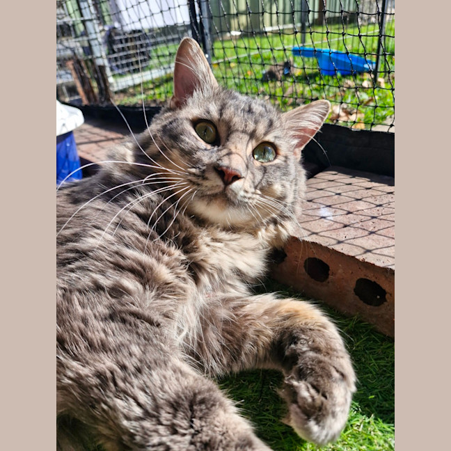 Photo of Timmy