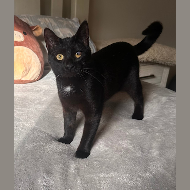 Photo of Madeline