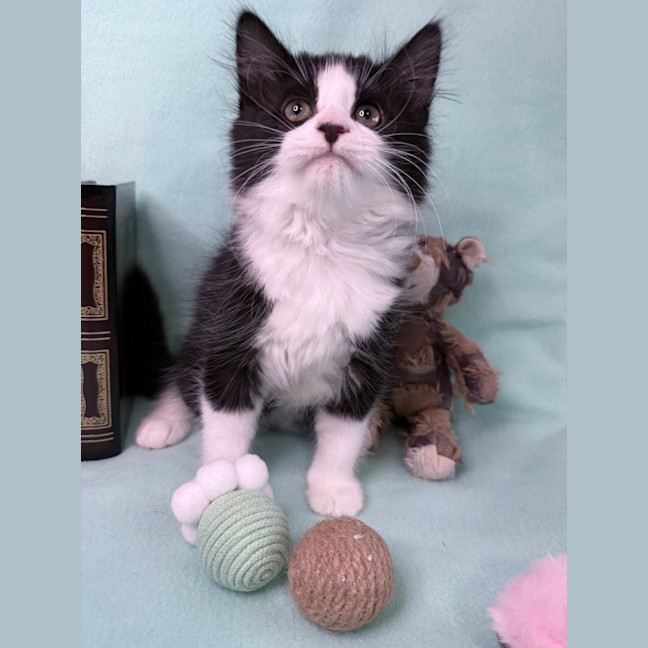 Photo of Gracie May 🌷