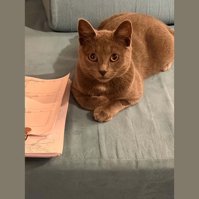 Photo of Smokey
