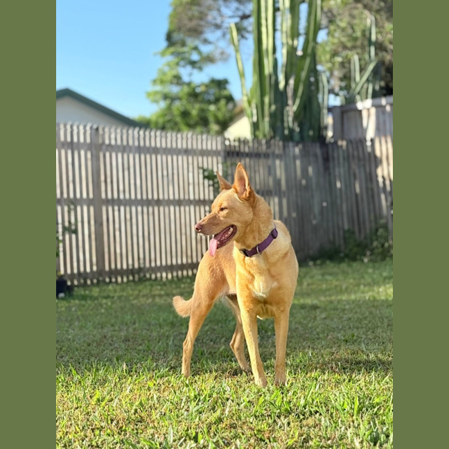 Photo of Cleo And Suki