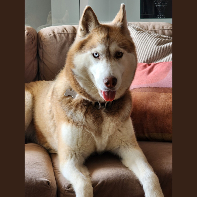 Photo of Roxy
