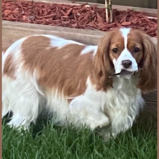 Photo of Ruby Uffelman