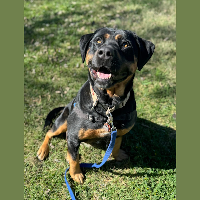 Photo of Molly
