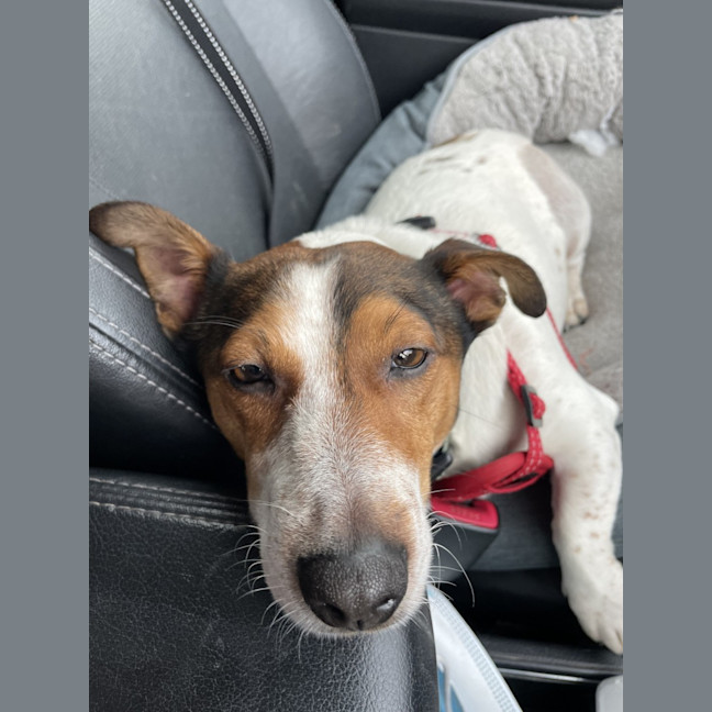 Photo of Snug