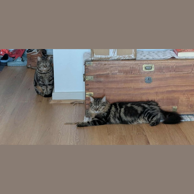 Photo of Spike & Angel 