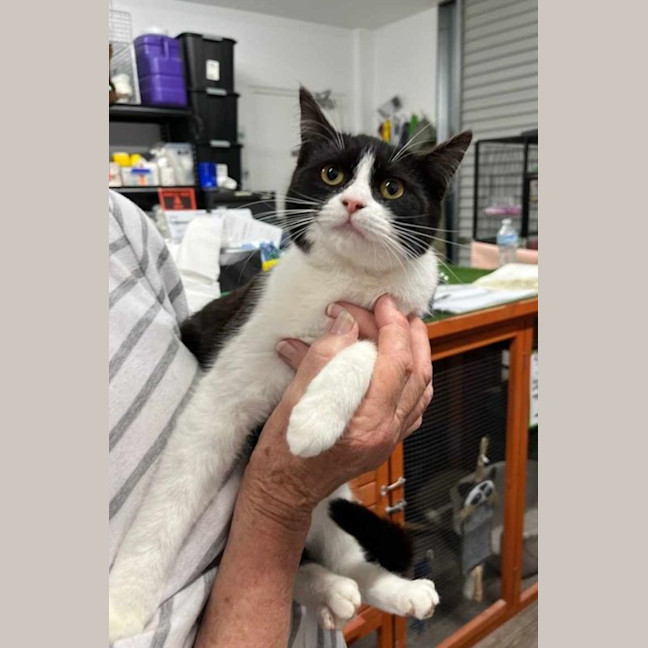 Photo of Hubba Bubba