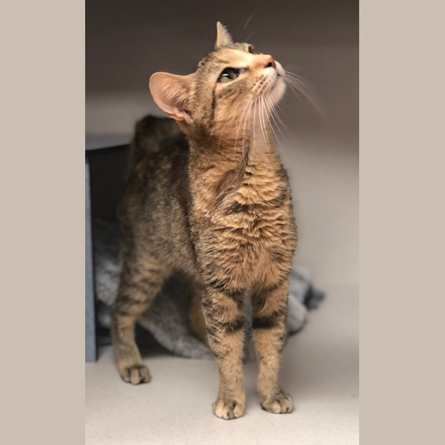 Photo of Lily