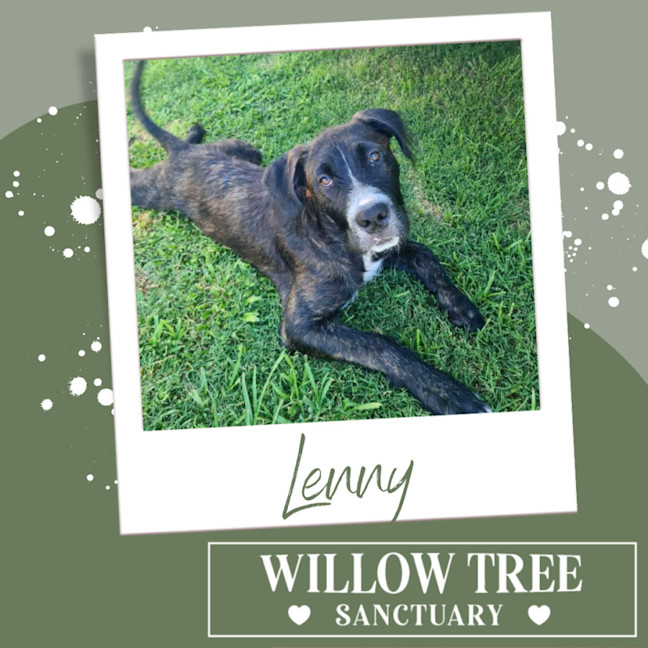 Photo of Lenny