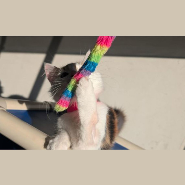 Photo of Penelope
