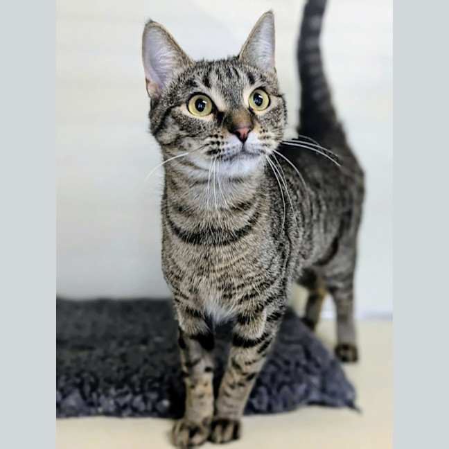 Photo of 🍨 Quincy 6369 🍨