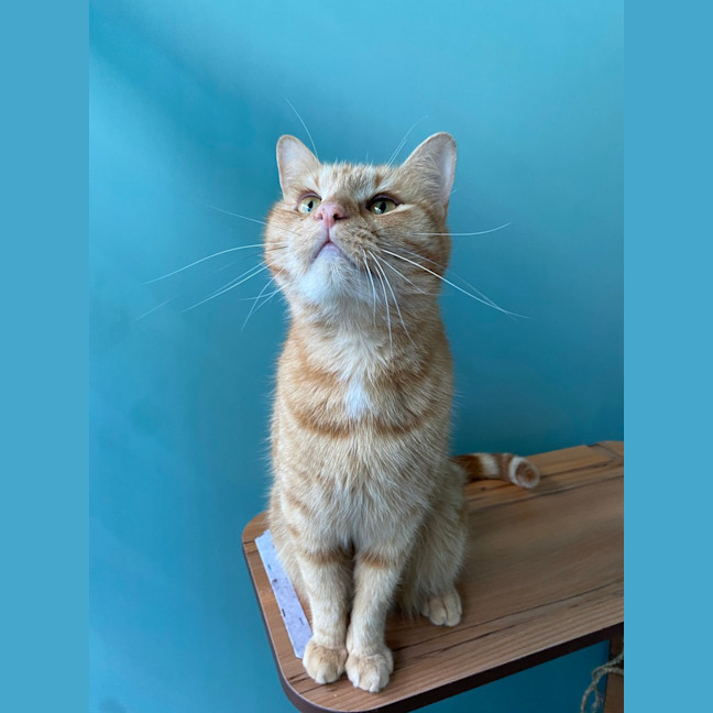 Photo of Fred
