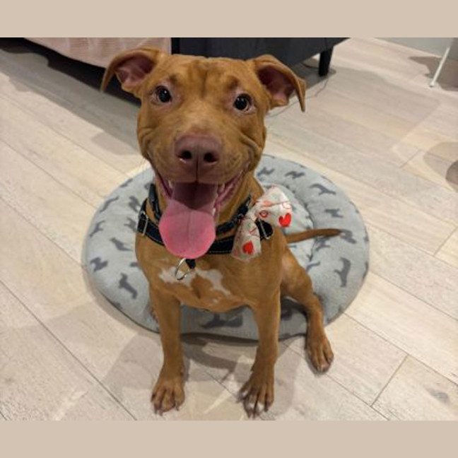 Photo of Max