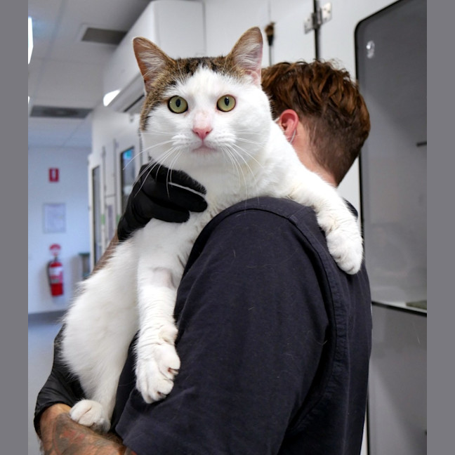 Photo of Oliver Sua013016