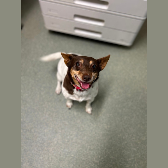 Photo of Buggerluggs