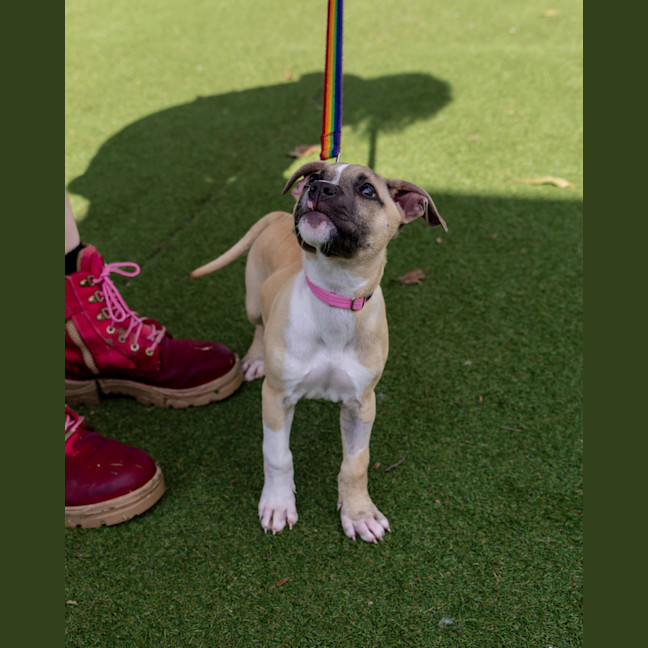 Photo of Lottie Bell