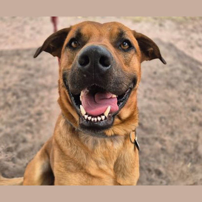 Photo of Biggie Paws