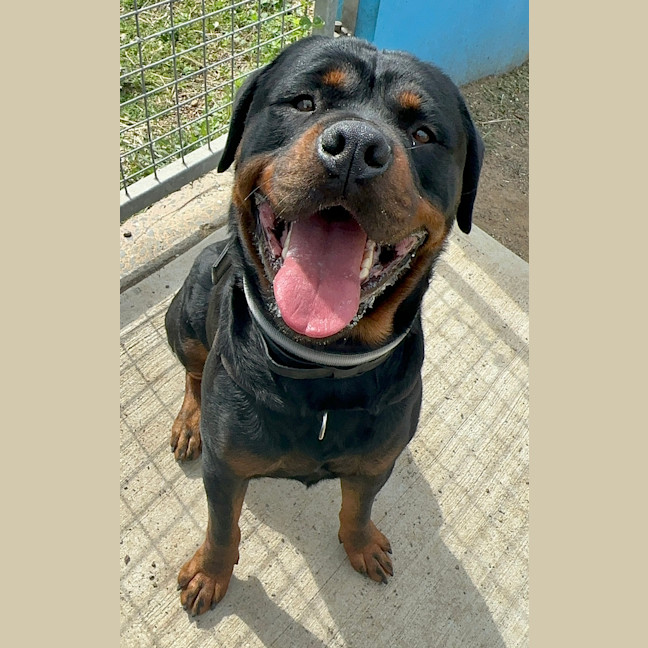 Photo of Max