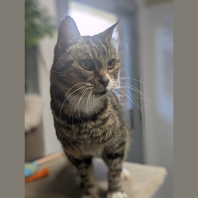 Photo of 🌱 Mochi 6381 🌱