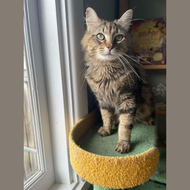 Photo of Winston