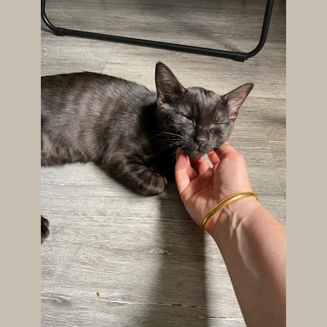 Photo of Monte ❤️