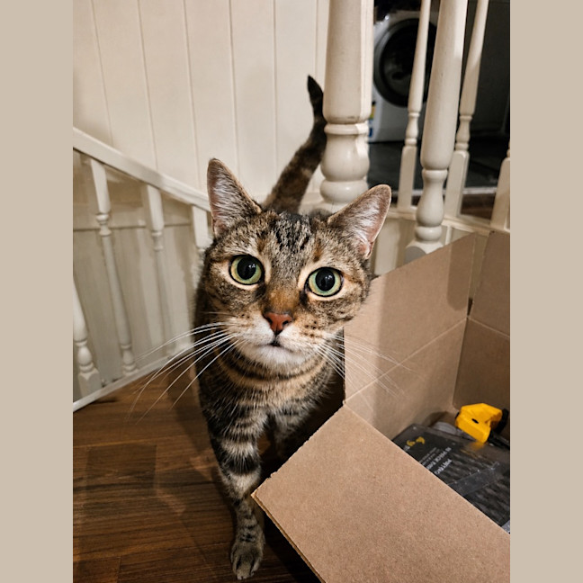 Photo of Princess Poppy