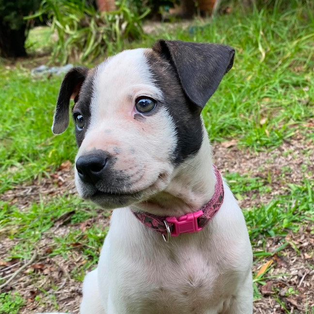 Photo of Solana