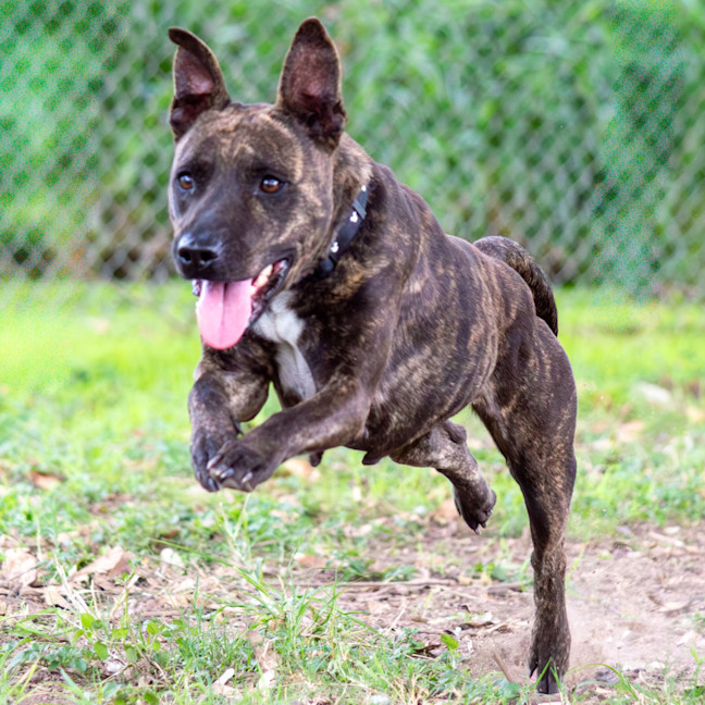 Photo of Moira