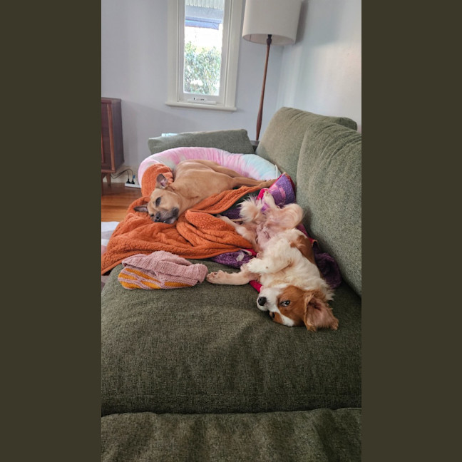 Photo of Lexi