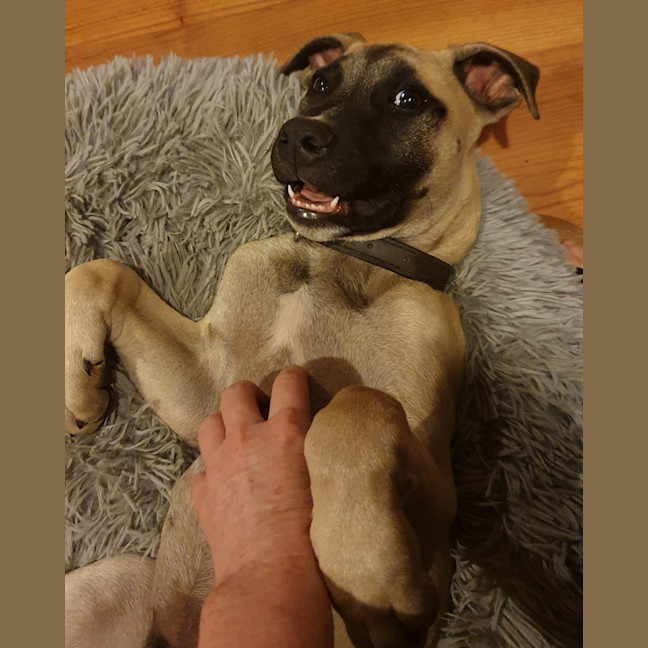 Photo of Marcel (Max)