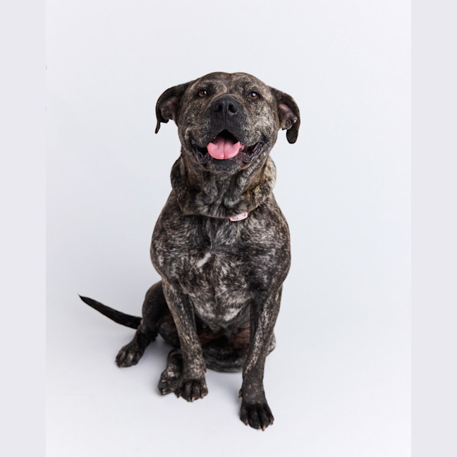 Photo of Milly