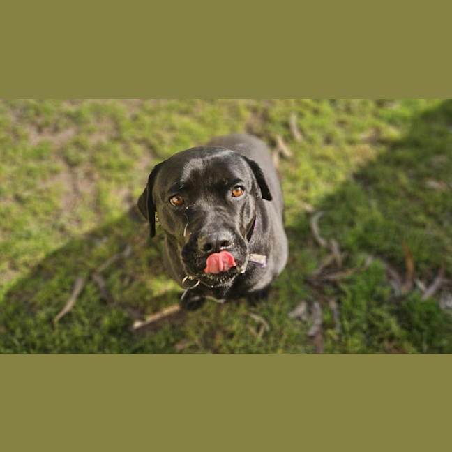 Photo of Betty