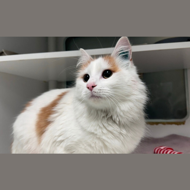 Photo of Bonnie