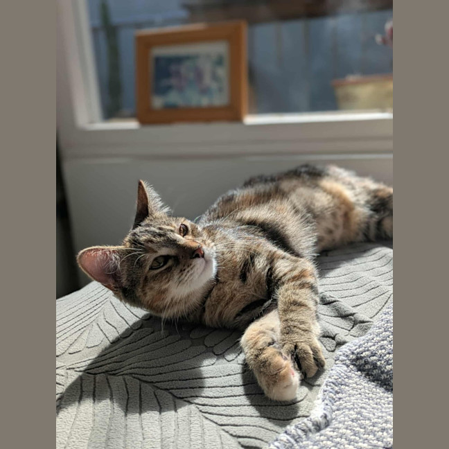 Photo of Milah