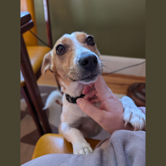 Photo of Chip Douglas